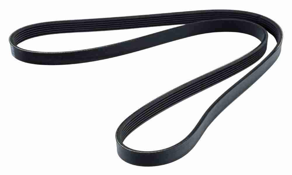 Serpentine Belt 01